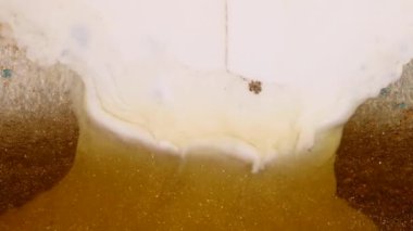 Parçacık soyut arkaplan altında sıvı. Luid sanat çizim videosu, renkli dalgalı soyut akrilik doku.