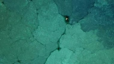 Mor arka planda dönen yeşil boya. Pembe duman ve bulutların makro videosu. Soyut fantezi akışkan sanat arka planı.