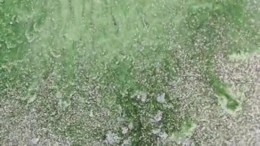 Alkollü mürekkep karışımı. Birkaç katman halinde akış. Soyut fantezi akışkan sanat geçmişi. Mor arka planda dönen yeşil boya. Pembe duman ve bulutların makro videosu.