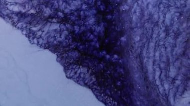 Alkol mürekkebiyle boyanmış. Şeffaf mürekkep renkleriyle yaratılmış yaratıcı soyut sanat eserleri. Moda duvar kâğıdı. Soyut resim, duvar kağıtları, posterler ve web siteleri için arka plan olarak kullanılabilir.