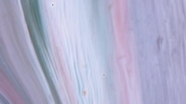 Akrilik boya baştan aşağı akar. Soyut Renkli Mürekkep Sıvı Patlaması Pshychedelic Boya Patlaması Hareketi. Yüksek kalite 4k görüntü. 