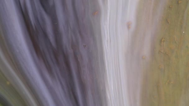 Farba Akrylowa Płynie Góry Dołu Abstrakcyjny Kolorowy Farba Atrament Płynny — Wideo stockowe
