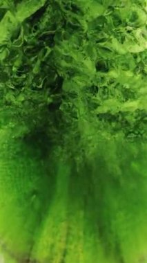  Parıldayan Parıltılı Parçacıklar. Soyut akışkan arka plan. Su ya da mavi sıvılar üzerinde akan güçler. Etkinlik, konser, başlık, sunum, müzik. Parçacıklar üzerinde titreşim etkisi. 