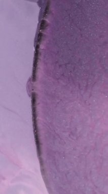  Parıldayan Parıltılı Parçacıklar. Soyut akışkan arka plan. Su ya da mavi sıvılar üzerinde akan güçler. Etkinlik, konser, başlık, sunum, müzik. Parçacıklar üzerinde titreşim etkisi. 