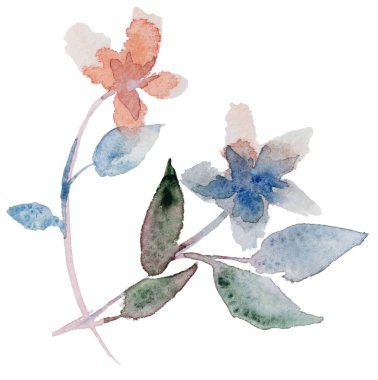 Suluboya ile boyanmış çiçekler. Çiçekli illüstrasyon - mavi yapraklar, düğün kırtasiyesi için, tebrikler, duvar kağıdı, moda, arka plan.