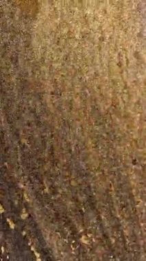 Renkli duman dokusu. Parlak mürekkep girdabı. Karanlık ve soyut arkaplanda parlak toz bulutları var. Sihirli hava dalgası. Soyut arkaplan akışını boya. 