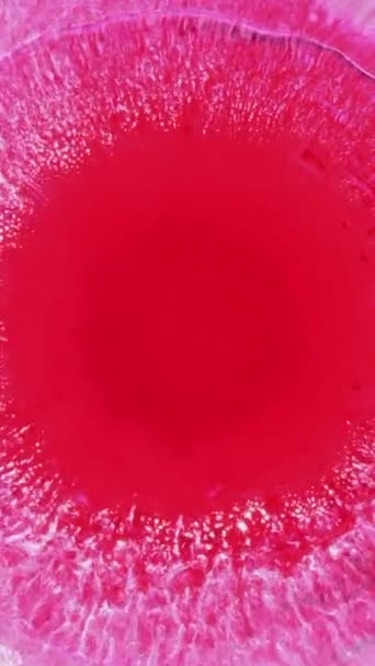 Lusso Fluido Arte Pittura Sfondo Vernice Acrilica Rovesciata Marmo Liquido — Video Stock