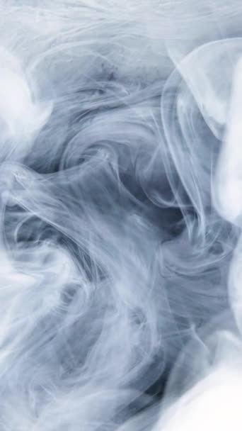 液体白インクの遅い動き 塗料は水に注がれます 黒の背景にインクの雲 水の中の白いインクの素晴らしい抽象的な滴 — ストック動画