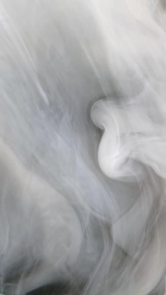 Lento Movimiento Tinta Blanca Líquida Pintura Vierte Agua Nube Tinta — Vídeo de stock