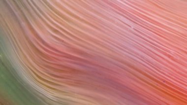 Soyut sıvı sanatsal arka plan, parlak mavi, yeşil, turkuaz su. Parlak ve yanardöner mürekkep parçacıklarının makro videosu.