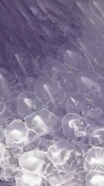 Beyaz ve mavi alkol mürekkebi olan soyut sanat arkaplan tasarımı. Petri kabındaki boyanın kimyasal reaksiyonunun makro videosu.