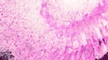 Renkli duman dokusu. Parlak mürekkep girdabı. Sihirli hava dalgası. Karanlık soyut arkaplanda parlak toz bulutu akışı.