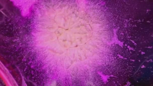 Teilchen Mit Glitzerschimmer Abstrakter Flüssiger Hintergrund Strömungskräfte Auf Wasser Oder — Stockvideo
