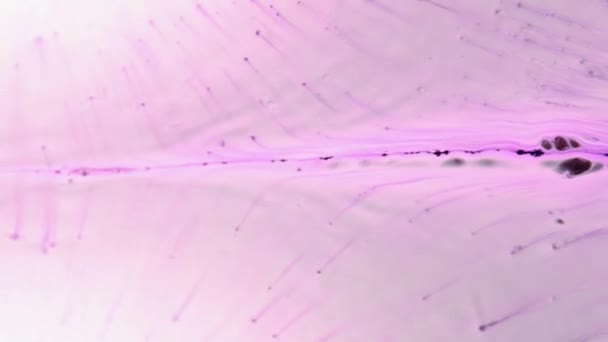 Partículas Con Brillo Purpurina Fondo Fluido Abstracto Fuerzas Flujo Agua — Vídeos de Stock