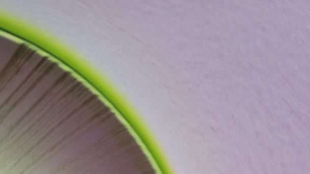 Partículas Com Glitter Shimmer Fundo Fluido Abstrato Forças Fluxo Água — Vídeo de Stock
