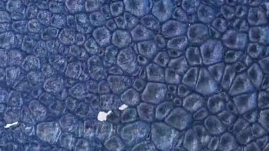 Soyut fantezi akışkan sanat geçmişi. Dönen boya arka planı. Makro video duman ve bulutlar. Sıvı boya arka planda sıçrama ve girdapla karışımı. Renkli dalgalı akrilik dokusu.