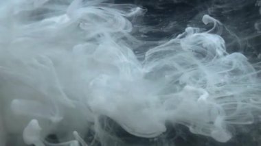 Sıvı beyaz mürekkep yavaş hareket ediyor. Boya suya dökülüyor. Siyah arka planda mürekkep bulutu. Suda müthiş soyut beyaz mürekkep damlaları.