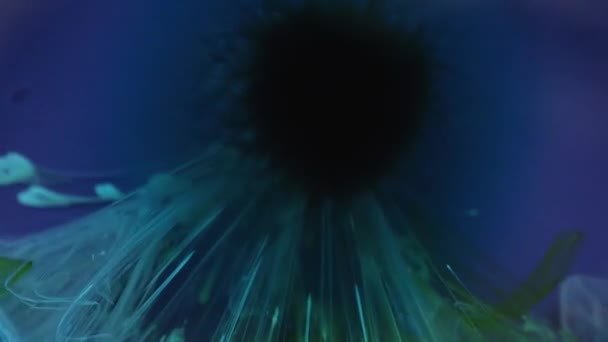 Deeltjes Met Een Glitter Shimmer Abstracte Vloeistofachtergrond Stromende Krachten Water — Stockvideo