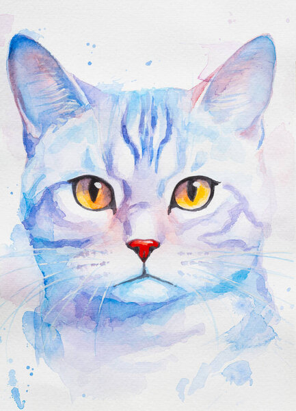 American Shorthair painted in watercolor on a white background in a realistic manner, colorful, rainbow. Ideal for teaching materials, books and nature-themed designs. Cat paint splash icons