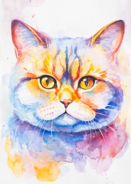 İngiliz Shorthair Cat suluboya ile beyaz arka planda gerçekçi, renkli, gökkuşağı renginde boyanmış. Öğretmenlik malzemeleri, kitaplar ve doğa temalı tasarımlar için ideal. Kedi boyası sıçrama simgeleri