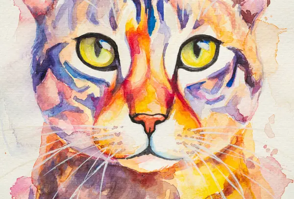 초상화 벵골어 고양이는 현실적인 방식으로 배경에 수채화 그려진 다채로운 무지개 — 스톡 사진