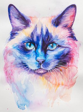 Birman Kedisi suluboya ile beyaz arka planda gerçekçi, renkli, gökkuşağı renginde boyandı. Öğretmenlik malzemeleri, kitaplar ve doğa temalı tasarımlar için ideal. Kedi boyası sıçrama simgeleri