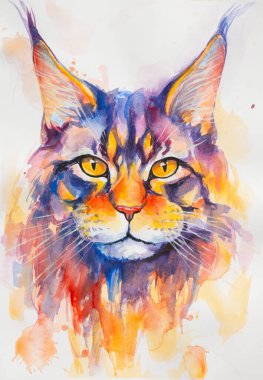 Maine Rakun Kedi suluboya ile beyaz arka planda gerçekçi, renkli, gökkuşağı renginde boyanmış. Öğretmenlik malzemeleri, kitaplar ve doğa temalı tasarımlar için ideal. Kedi boyası sıçrama simgeleri