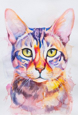 Bengal Kedisi suluboya ile beyaz arka planda gerçekçi, renkli, gökkuşağı renginde boyanmış. Öğretmenlik malzemeleri, kitaplar ve doğa temalı tasarımlar için ideal. Kedi boyası sıçrama simgeleri