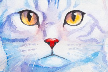 Amerikan Shorthair 'i suluboya boya ile beyaz arka planda gerçekçi, renkli, gökkuşağı renginde yapılmış bir portre parçası. Öğretmenlik malzemeleri, kitaplar ve doğa temalı tasarımlar için ideal. Kedi boyası