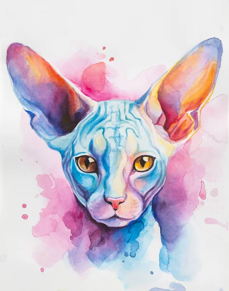 Cornish Rex Cat painted in watercolor on a white background in a realistic manner, colorful, rainbow. Ideal for teaching materials, books and nature-themed designs. Cat paint splash icons