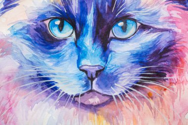 Birman Kedisi suluboya ile beyaz arka planda gerçekçi, renkli, gökkuşağı renginde boyandı. Öğretmenlik malzemeleri, kitaplar ve doğa temalı tasarımlar için ideal. Kedi boyası sıçrama simgeleri