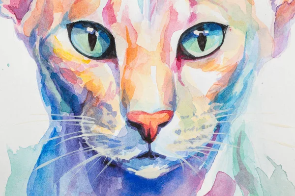 초상화 고양이는 현실적인 방식으로 배경에 수채화 그려진 다채로운 무지개 디자인 — 스톡 사진