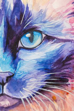 Birman Cat 'in suluboya boyayla resmedilmiş portresi gerçekçi, renkli, gökkuşağı renginde. Öğretmenlik malzemeleri, kitaplar ve doğa temalı tasarımlar için ideal. Kedi boyası sıçrama simgeleri