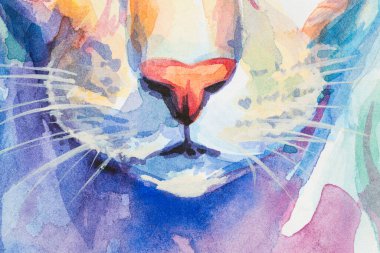 Oriental Shorthair Cat 'in portresi suluboya ile beyaz arka planda gerçekçi, renkli, gökkuşağı renginde boyandı. Öğretim materyalleri, kitaplar ve doğa temalı tasarımlar için ideal.