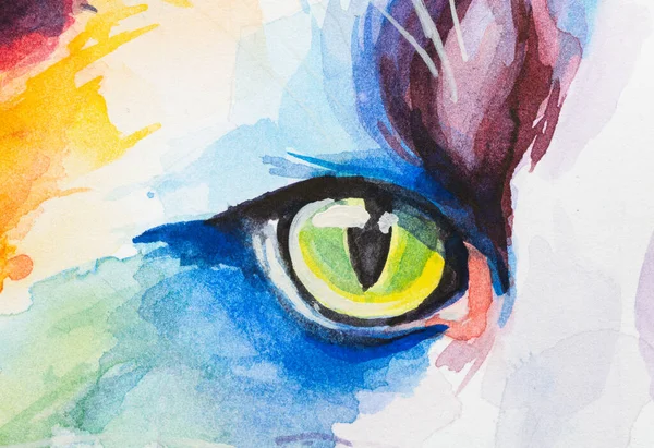 Eye of Ragdoll Cat painted in watercolor on a white background in a realistic manner, colorful, rainbow. Ideal for teaching materials, books and nature-themed designs.