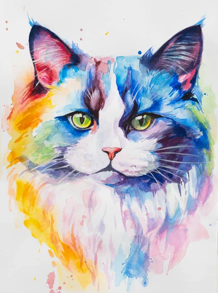 Ragdoll Cat painted in watercolor on a white background in a realistic manner, colorful, rainbow. Ideal for teaching materials, books and nature-themed designs. Cat paint splash icons