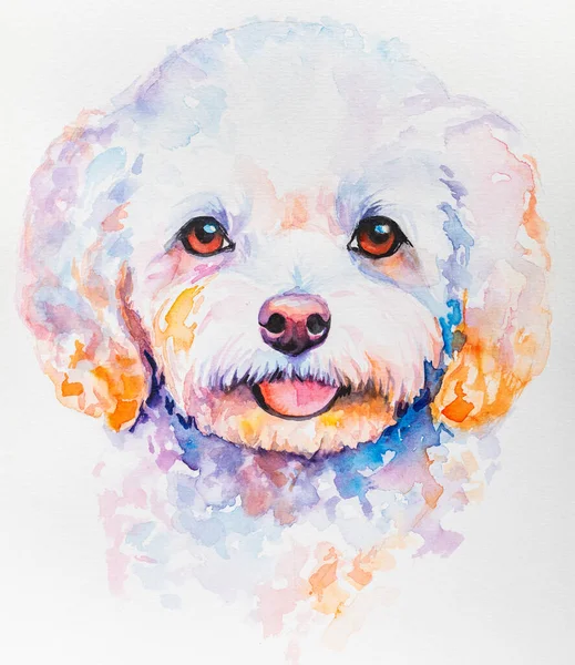 Illustration Portrait of Bichon Frise. Cute dog isolated on white background. watercolor dog faces, colorfull dog portrait isolated on white background. dog paint splash icons.