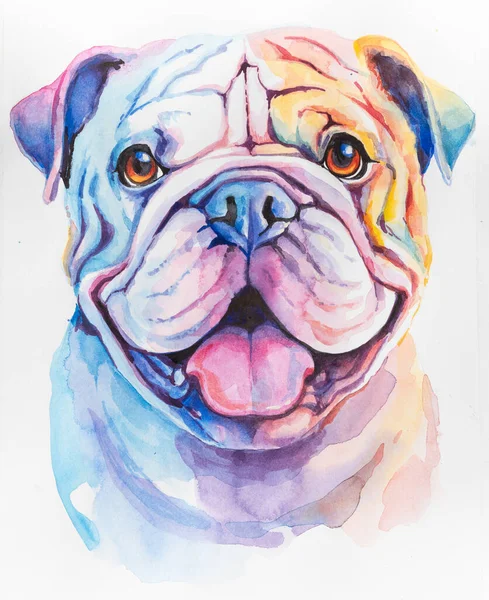 Illustration Portrait of Bulldog. Cute dog isolated on white background. watercolor dog faces, colorfull dog portrait isolated on white background. dog paint splash icons.