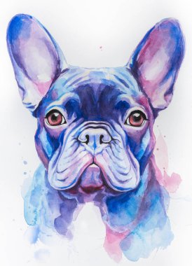 Fransız Bulldog 'un İllüstrasyon Portresi. Beyaz arka planda izole edilmiş şirin bir köpek. suluboya köpek yüzleri, beyaz arka planda izole edilmiş renkli köpek portresi. köpek boyası sıçrama simgeleri.