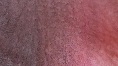 Renkli yuvarlak sıvı mermer soyut arkaplan. Enfes sıvı sanat, soyut tasarım, renkli mermer. Renkli mermer sıvı dalga arka planı. 4K çözünürlüğü