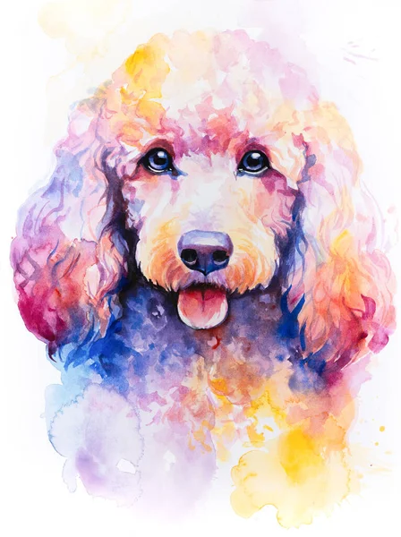 Dog poodle painted in watercolor on a white background in a realistic manner, colorful, rainbow.