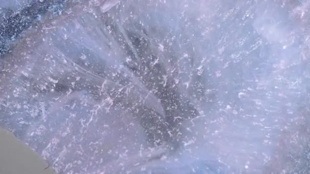 ブロンズ パープル ブルーアルコールインクの抽象的なアート背景デザイン ペトリ皿のペンキの化学反応のマクロビデオ — ストック動画