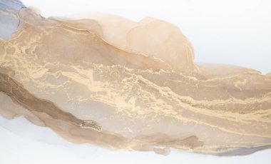 Resim beyaz arka planda alkol mürekkebiyle boyanmıştır. Lüks, soyut sıvı sanat tekniği: bronz, gümüş, metalik ve altın rengi. 