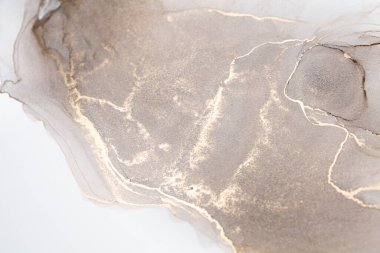 Resim beyaz arka planda alkol mürekkebiyle boyanmıştır. Lüks, soyut sıvı sanat tekniği: bronz, gümüş, metalik ve altın rengi. 