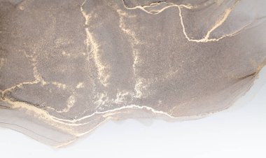 Resim beyaz arka planda alkol mürekkebiyle boyanmıştır. Lüks, soyut sıvı sanat tekniği: bronz, gümüş, metalik ve altın rengi. 