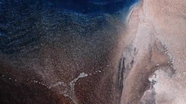 Tinta Alcohol Arte Líquido Fondo Abstracto Partículas Fluidas Brillantes Iridiscentes — Vídeos de Stock