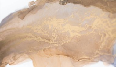 Resim beyaz arka planda alkol mürekkebiyle boyanmıştır. Lüks, soyut sıvı sanat tekniği: bronz, gümüş, metalik ve altın rengi. 