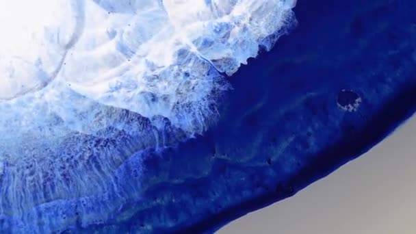 Fluidní Kreslení Videa Abstraktní Akrylová Textura Barevnými Vlnami Kapalina Pod — Stock video