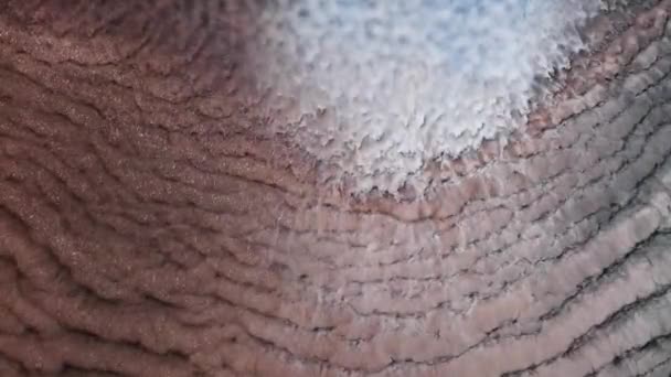 Defokussiert Schimmernde Teilchen Acryltinte Wasserwellenbewegung Auf Dunklem Abstrakten Kunsthintergrund Nasse — Stockvideo