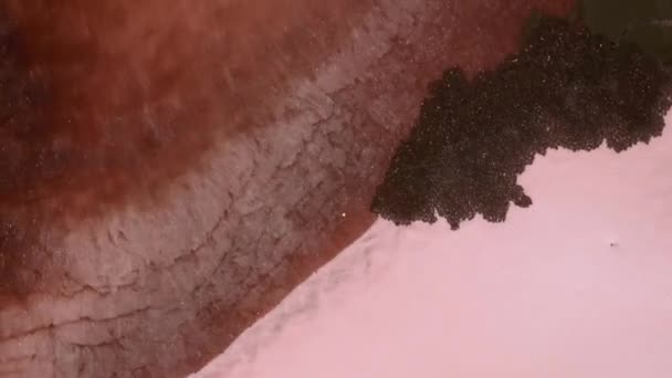 Біле Чорнило Спирту Тече Зверху Помаранчевому Бронзовому Рожевому Тлі Плаваюча — стокове відео